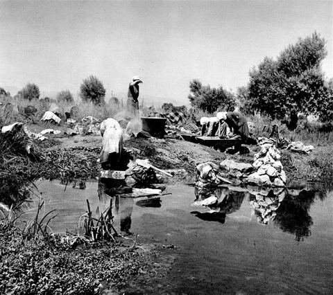 Women washing laundry in the spring water at Lerna, among reeds and trees, in the 1930s.