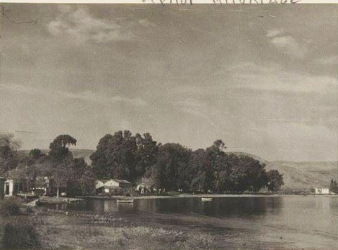 Black-and-white photo postcard marked "ΜΥΛΟΙ ΑΡΓΟΛΙΔΟΣ": a stretch of coast with a dense group of trees and low houses.