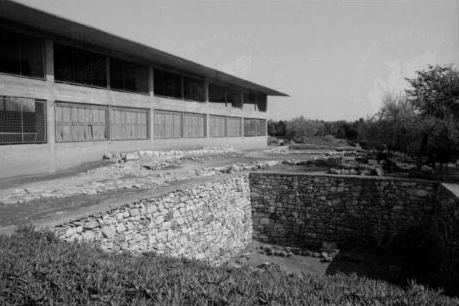 Neolithic house remains at the Lerna excavation, with the concrete House of Tiles shelter and an orchard.