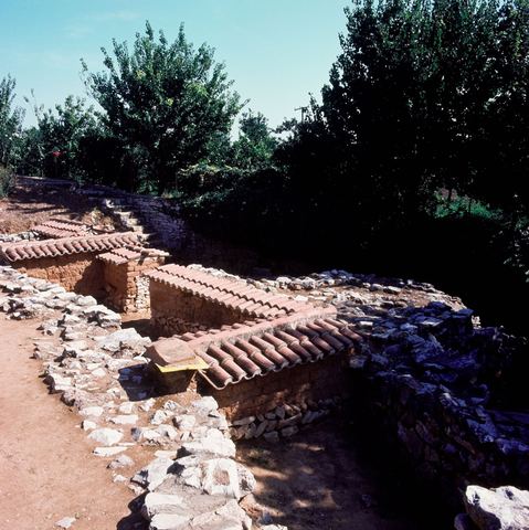 Lerna excavation: walls under small protective roofs and an olive or citrus orchard.