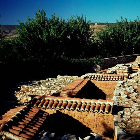 Colour slide of the Lerna excavation with its protective roofs, trees, hills and a building behind.