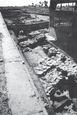 Lerna excavation: the excavated northern part of Building BG seen from the northwest, with the newly built shelter over the House of Tiles, a worker, trees and a telegraph pole.