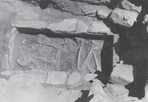 Lerna excavation: cist grave D.9.