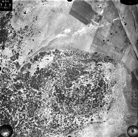 Vertical aerial photo of a scrub-covered hill and fields, annotated "Turm" (tower), south of Myloi.