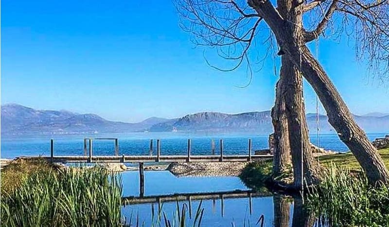 Still water among reeds at the springs of Lerna, with a wooden footbridge and the gulf behind