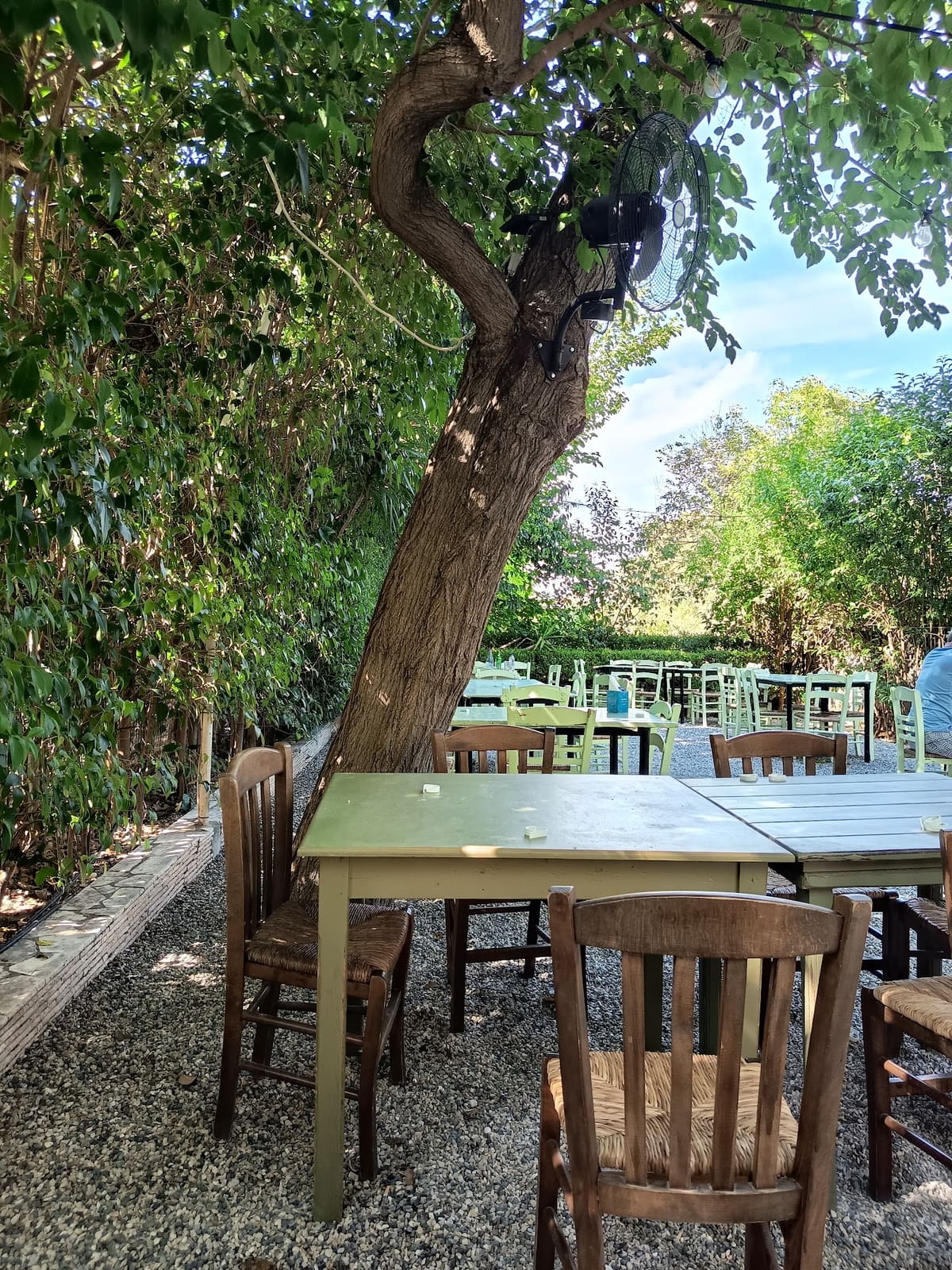 Ξύλινα τραπέζια και ψάθινες καρέκλες στον σκιερό κήπο κάτω από ένα μεγάλο δέντρο