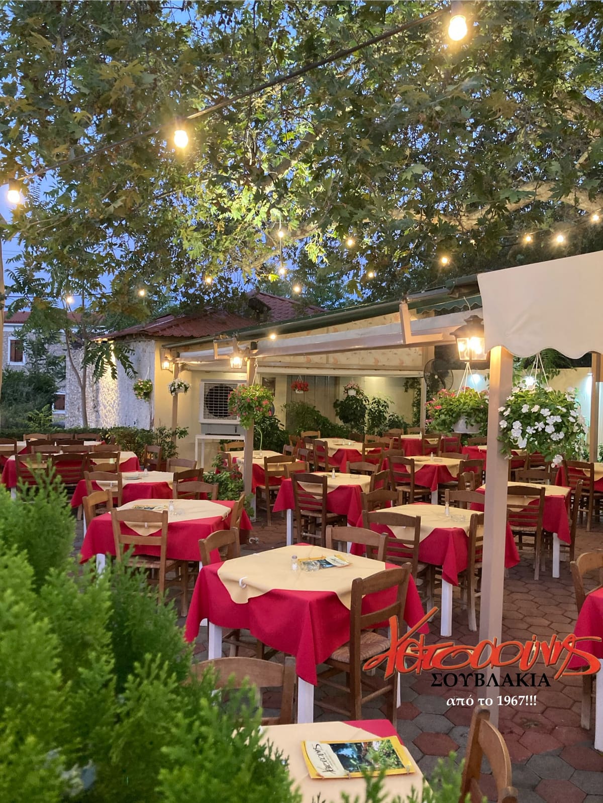 The garden of the Katsaounis grill house at dusk: tables with red and cream cloths under a plane tree hung with string lights and flower baskets