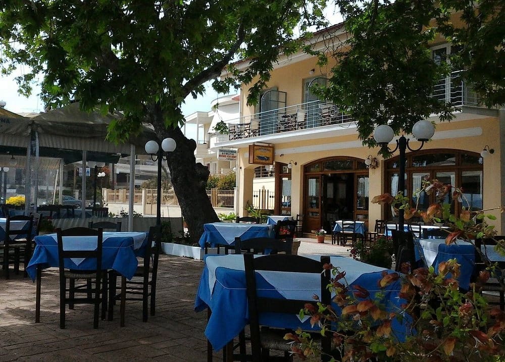 Η αυλή του Λύκου κάτω από ένα μεγάλο δέντρο, με μπλε τραπεζομάντιλα και το κίτρινο κτήριο του εστιατορίου πίσω