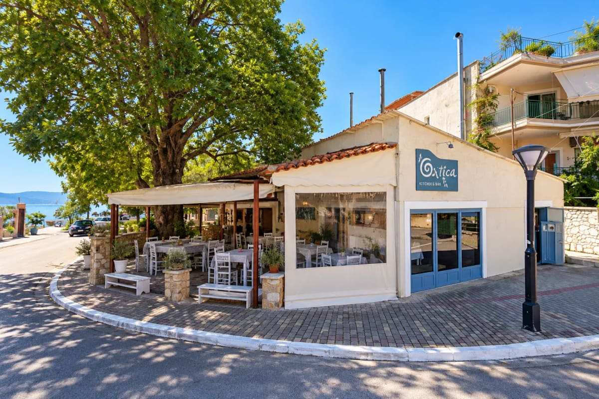 The restaurant with its covered terrace and white tables under a large tree, on a street corner with the sea in the background