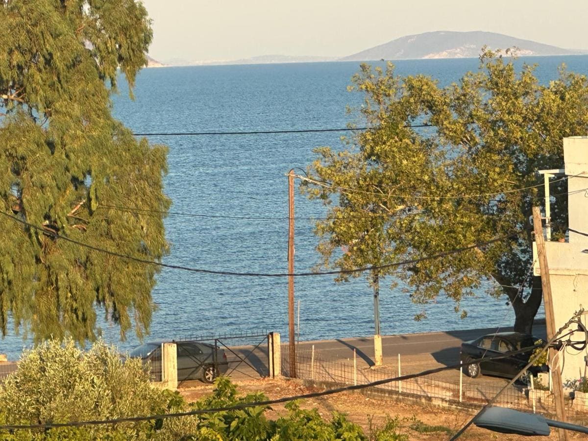 Θέα από μπαλκόνι πάνω από ψηλά δέντρα και τον παραλιακό δρόμο προς την ήρεμη θάλασσα και τα βουνά απέναντι