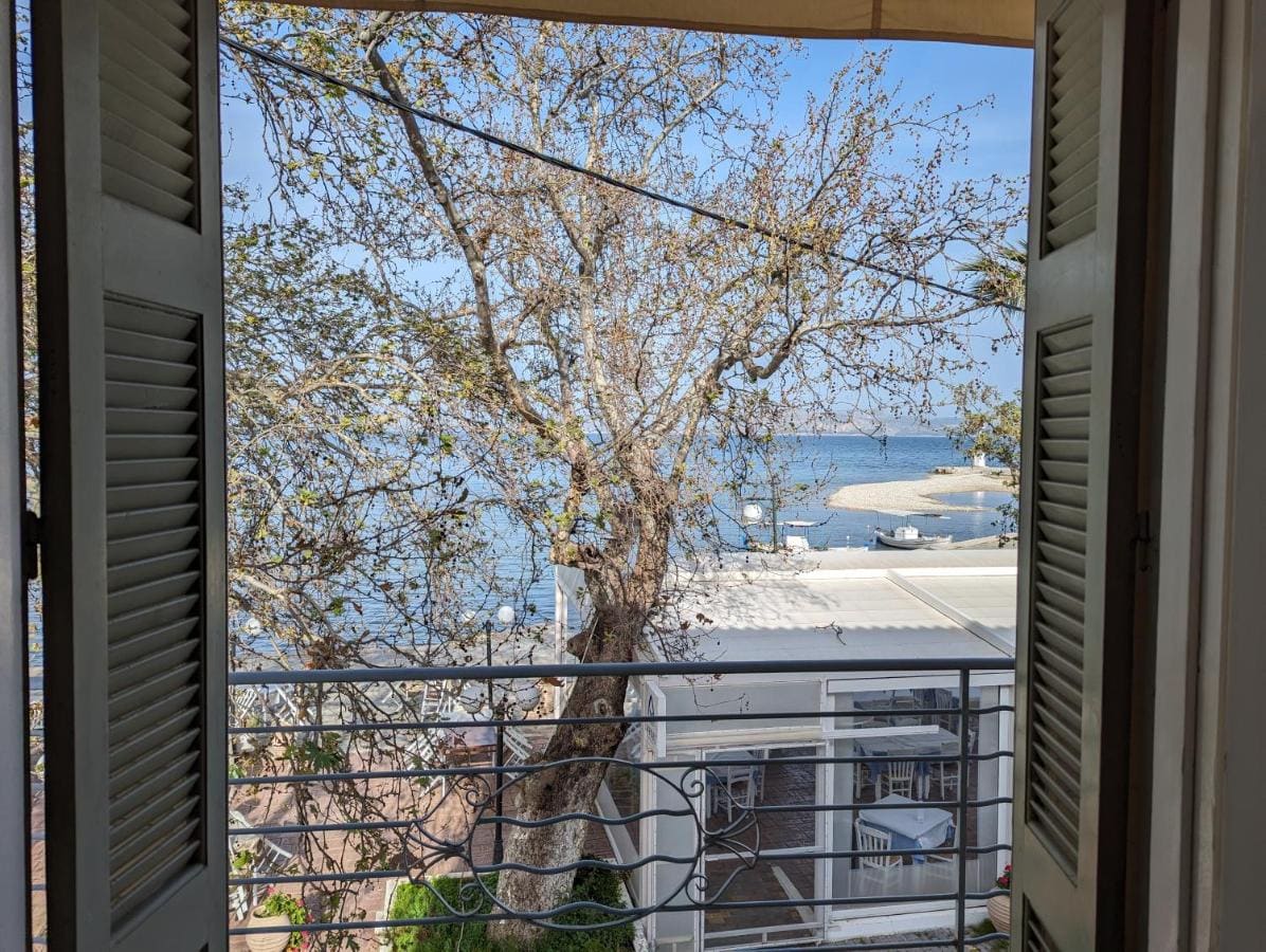 Θέα μέσα από ανοιχτά πράσινα παντζούρια, πέρα από ένα μεγάλο δέντρο, προς την παραλία και τη θάλασσα