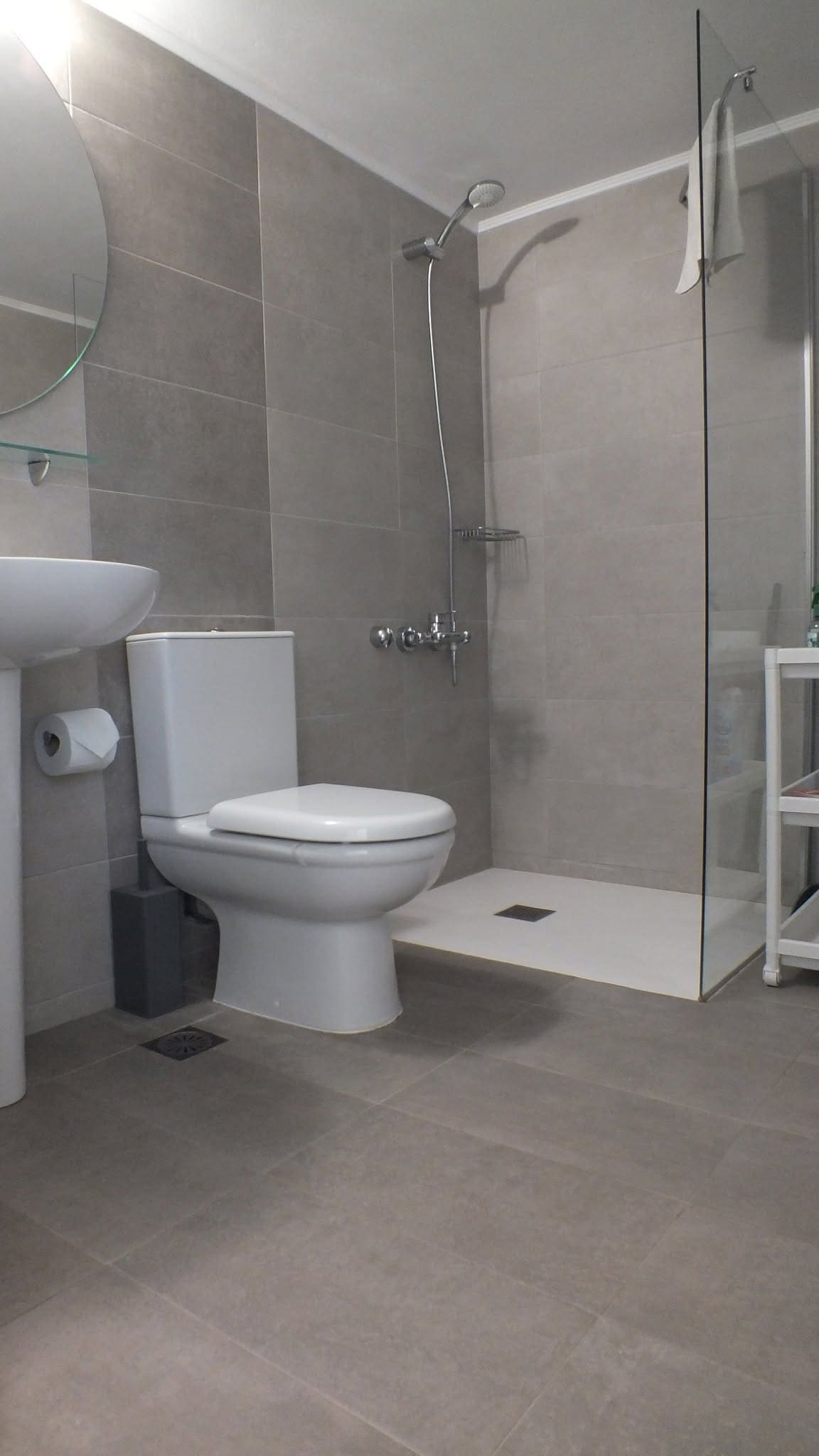 Bathroom with toilet, washbasin and a walk-in shower behind glass